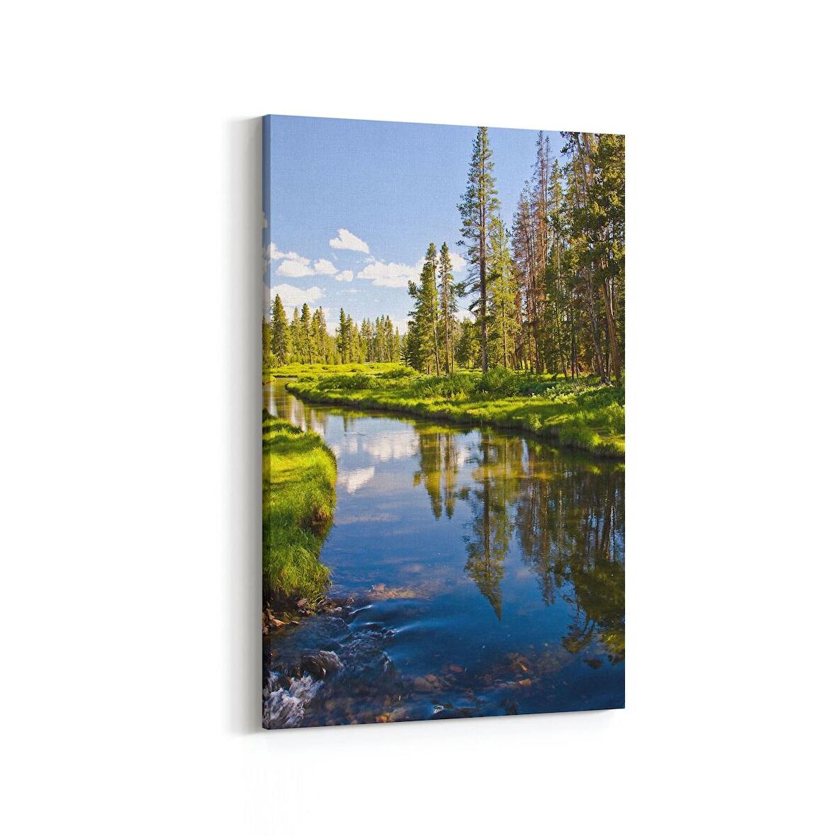 Olla 14480D Doğa / Manzara Görseli Dikey Kanvas Tablo (Ölçü: 60X90)