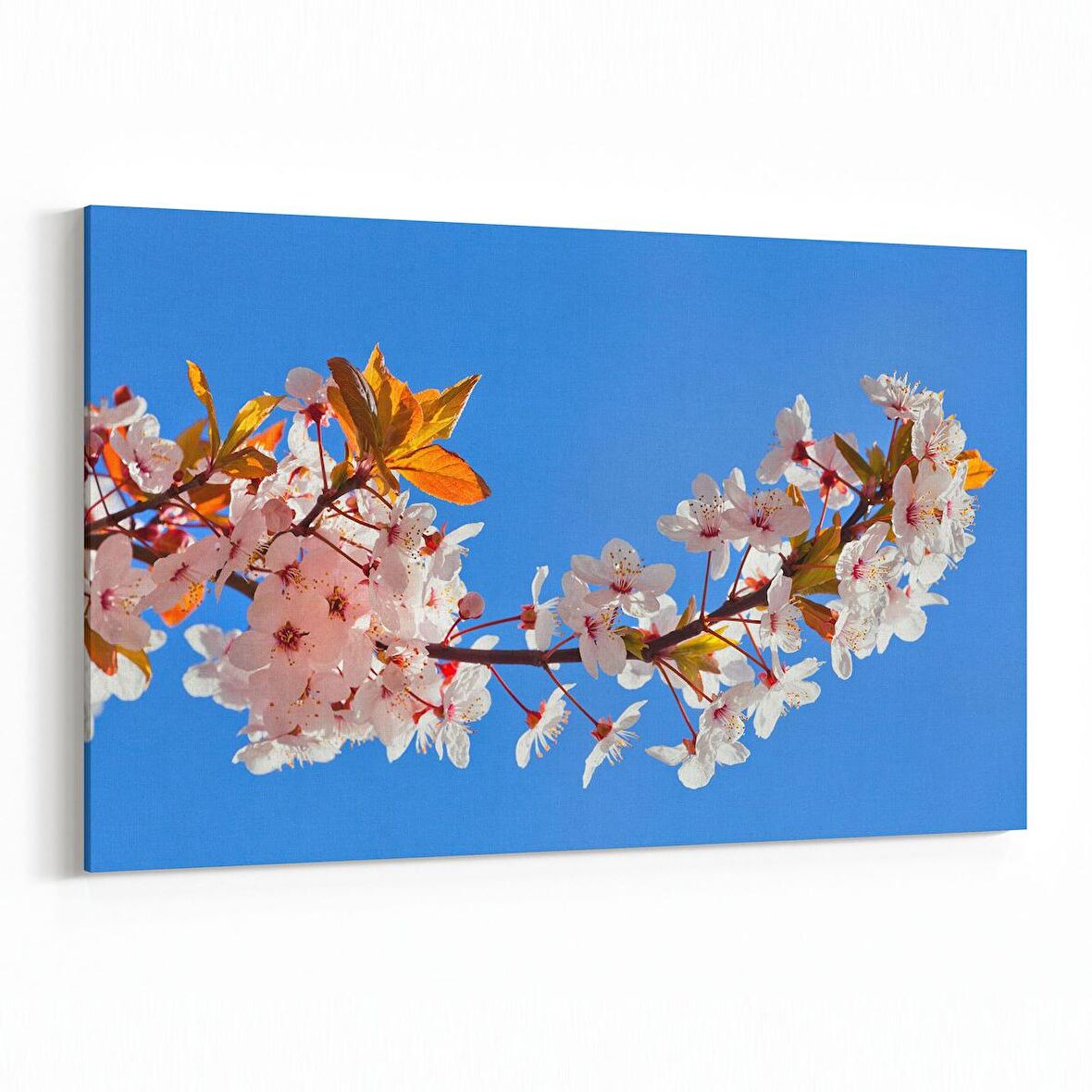 Olla 10552Y Ağaç Görseli Yatay Kanvas Tablo (Ölçü: 120X80)