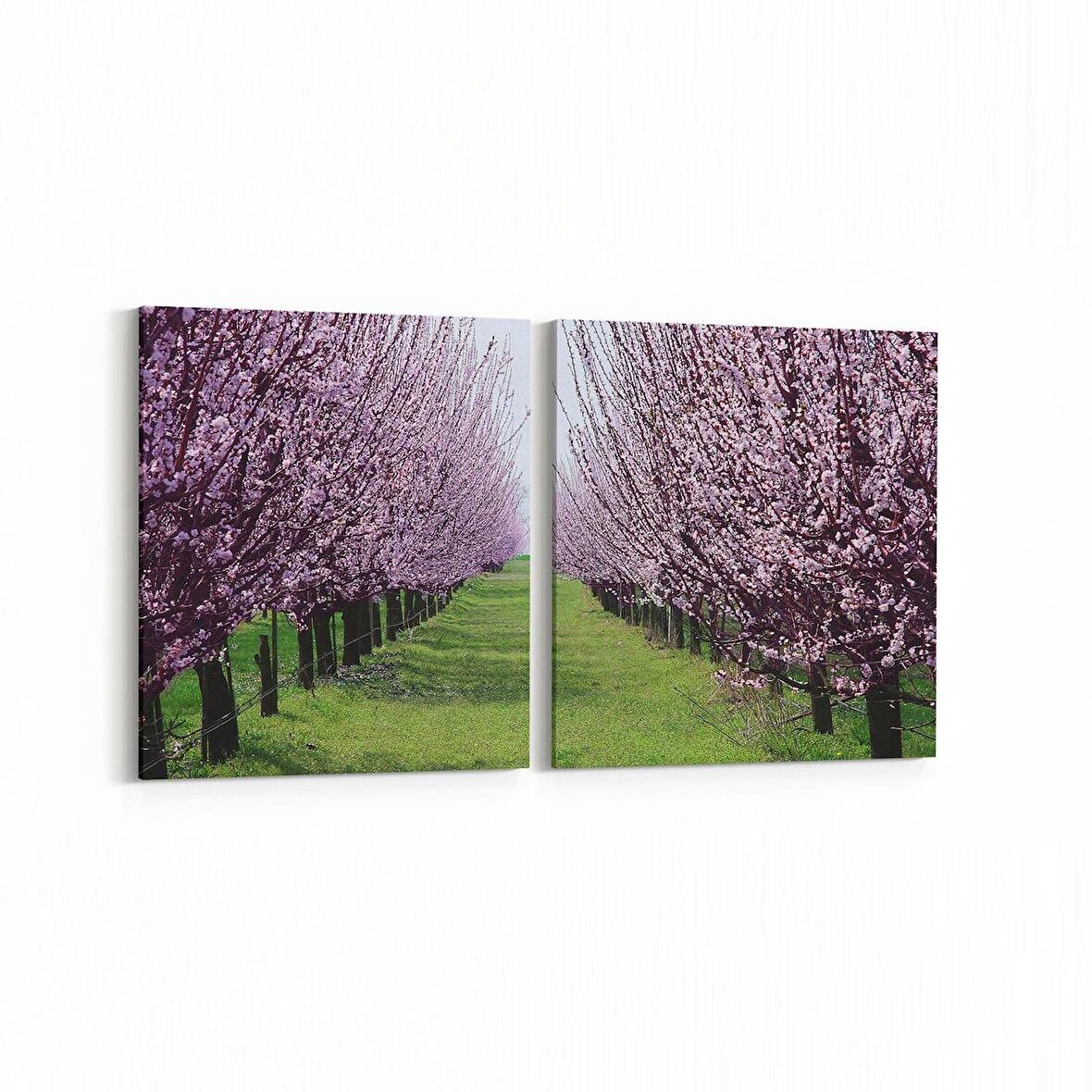 Olla 13453K2Y Doğa / Manzara Görseli Kare 2'li Yatay Kanvas Tablo (Ölçü: 145X70)