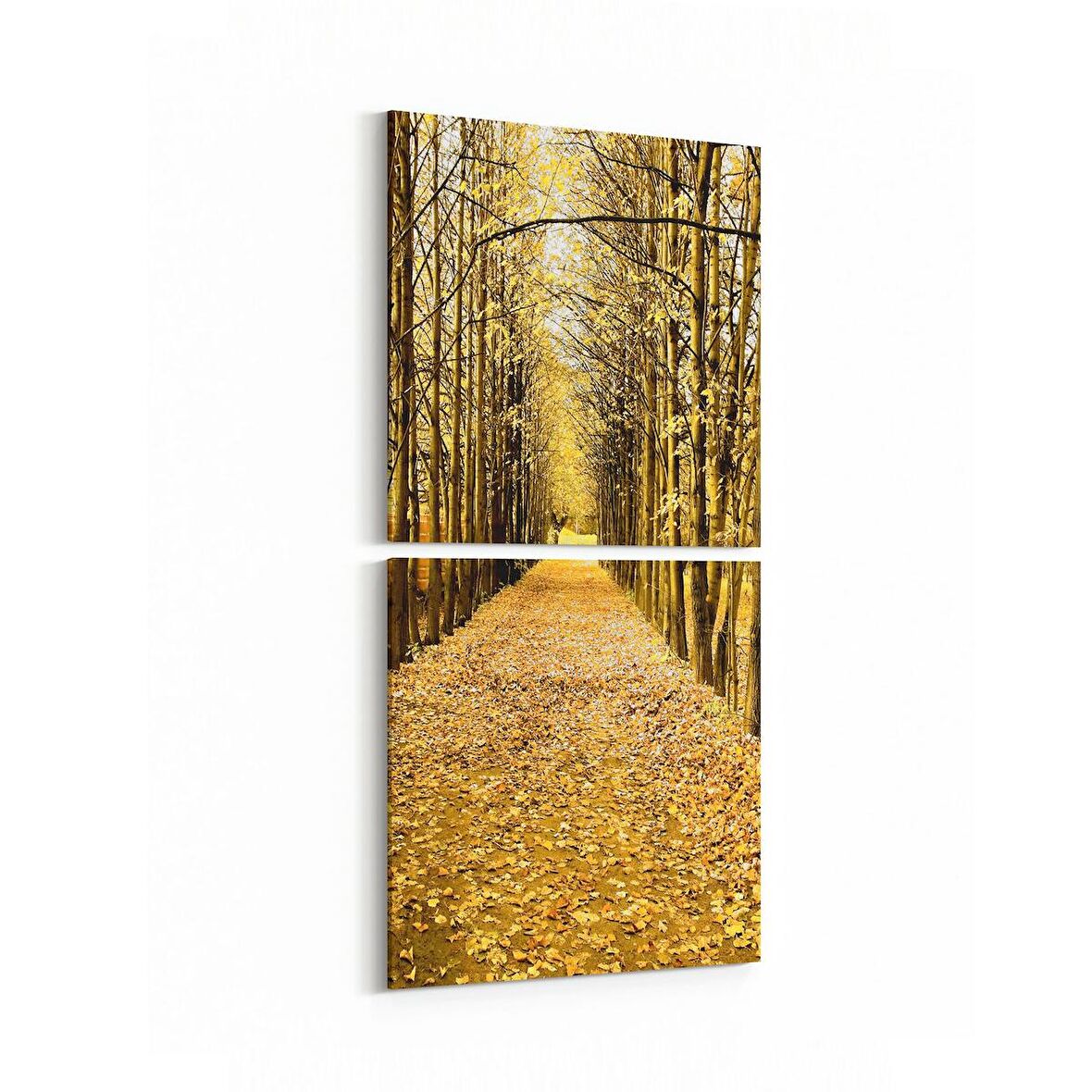 Olla 14021K2D Doğa / Manzara Görseli Kare 2'li Dikey Kanvas Tablo (Ölçü: 30X65)