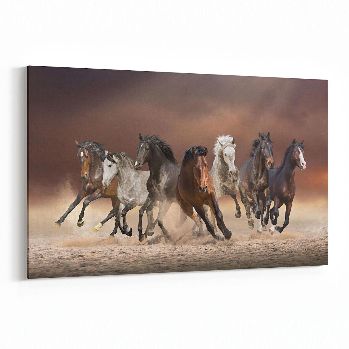 Olla 12662Y Hayvanlar Alemi Görseli Yatay Kanvas Tablo (Ölçü: 150X100)