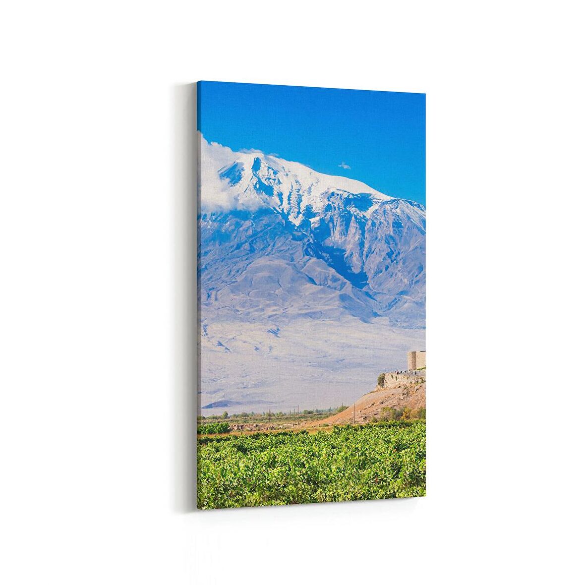 Olla 13989DD Doğa / Manzara Görseli Dikey Dar Kanvas Tablo (Ölçü: 60X120)