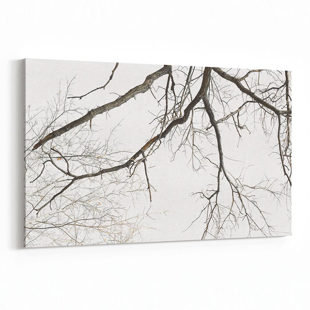 Olla 10691Y Ağaç Görseli Yatay Kanvas Tablo (Ölçü: 150X100)