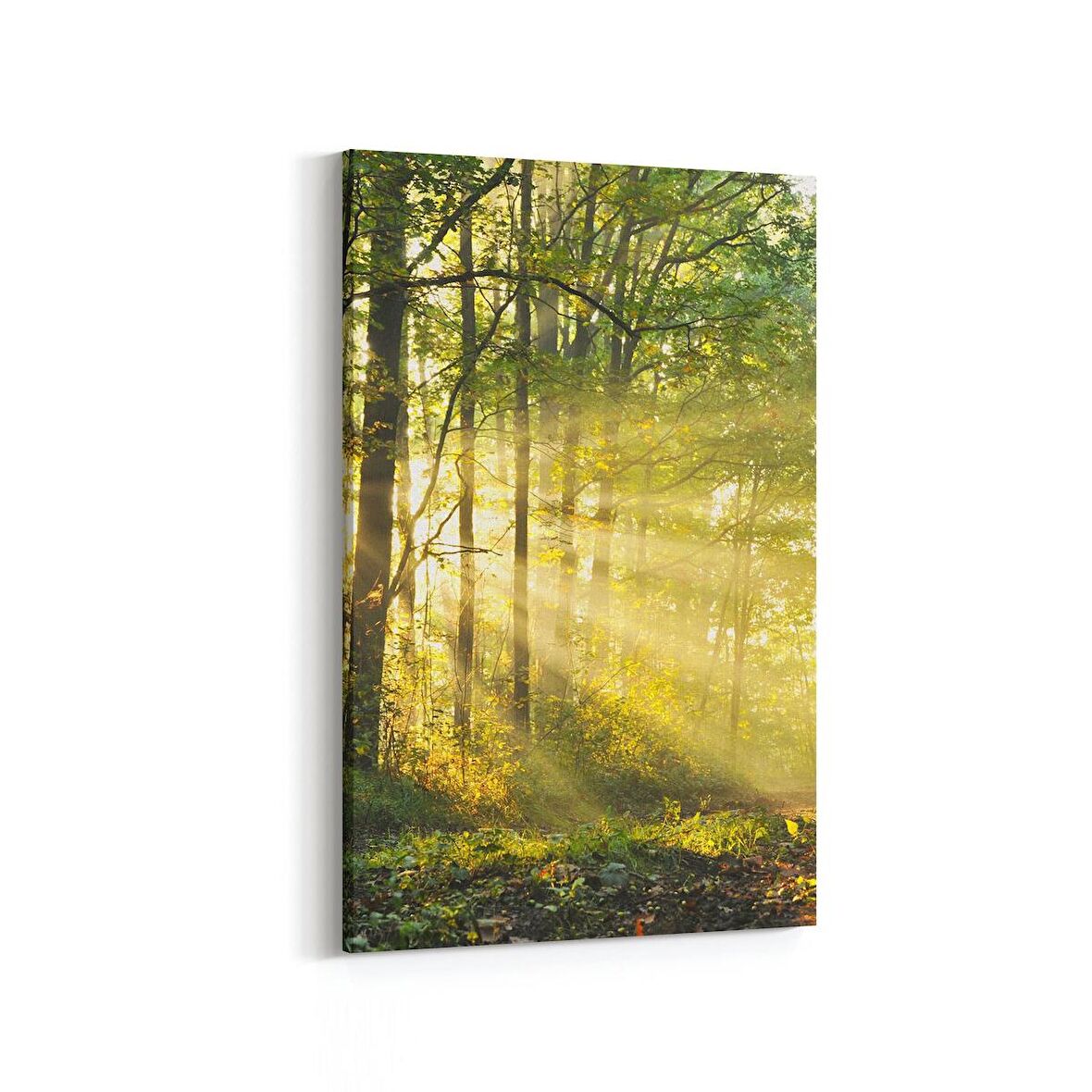 Olla 13268D Doğa / Manzara Görseli Dikey Kanvas Tablo (Ölçü: 60X90)