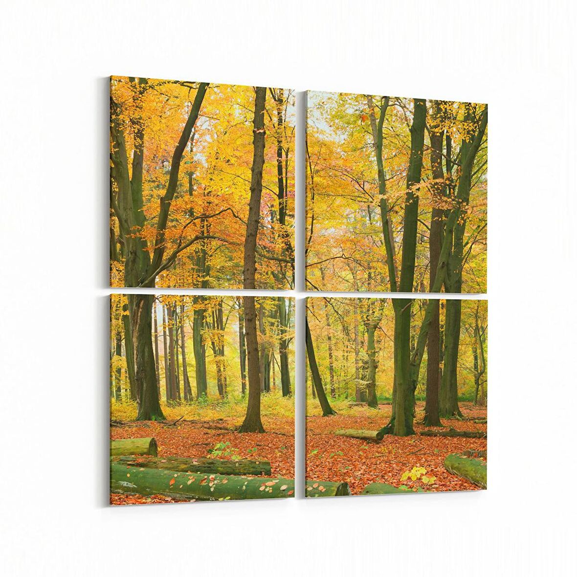 Olla 14354K4 Doğa / Manzara Görseli Kare 4'lü Kanvas Tablo (Ölçü: 125X125)