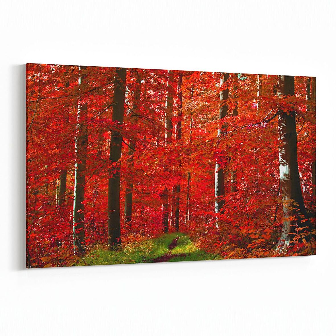 Olla 14592Y Doğa / Manzara Görseli Yatay Kanvas Tablo (Ölçü: 90X60)