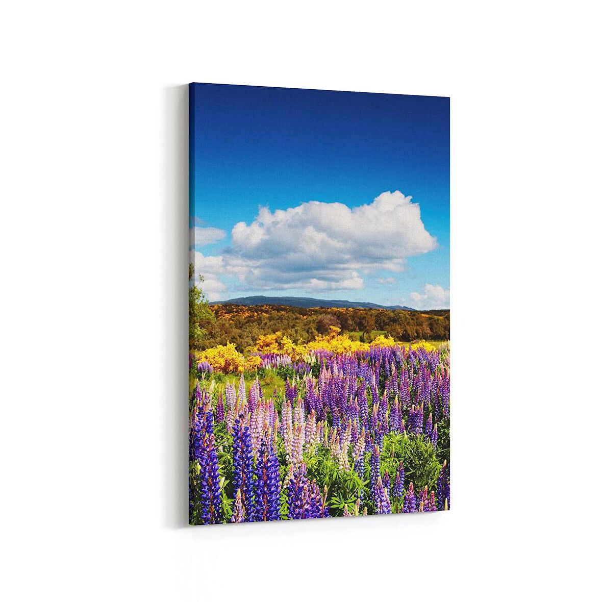 Olla 13787D Doğa / Manzara Görseli Dikey Kanvas Tablo (Ölçü: 100X150)