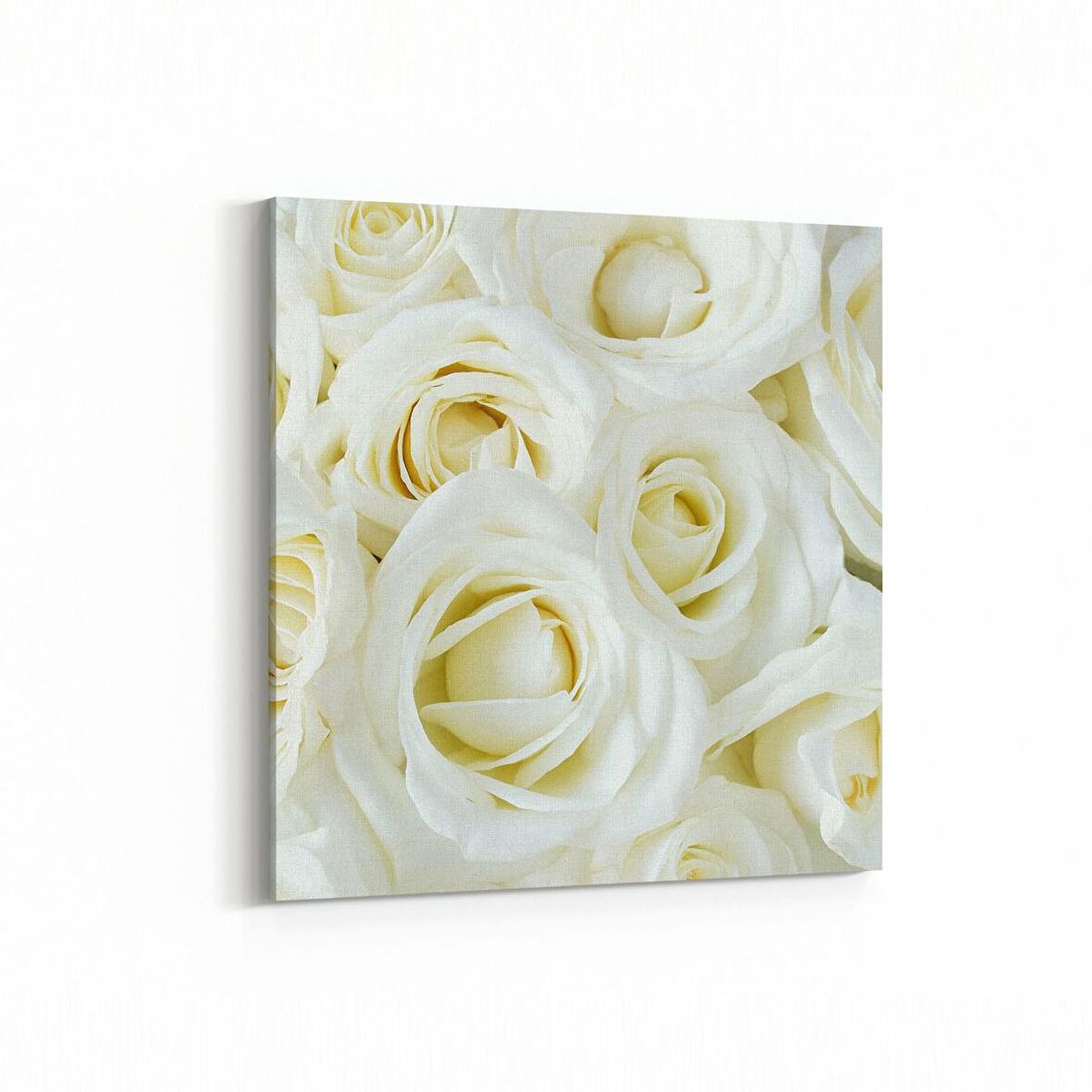 Olla 11646K Çiçek Görseli Kare Kanvas Tablo (Ölçü: 25X25)