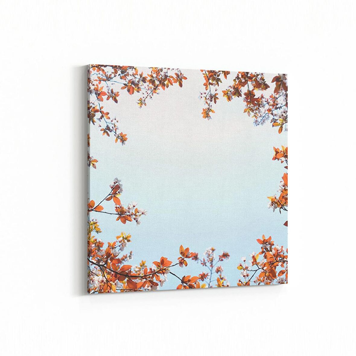 Olla 10611K Ağaç Görseli Kare Kanvas Tablo (Ölçü: 60X60)