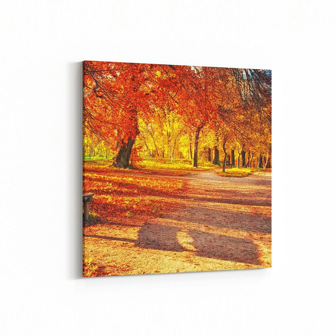 Olla 13522K Doğa / Manzara Görseli Kare Kanvas Tablo (Ölçü: 25X25)