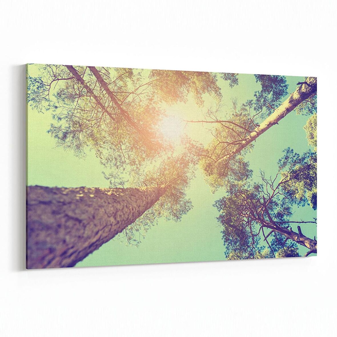 Olla 10744Y Ağaç Görseli Yatay Kanvas Tablo (Ölçü: 90X60)