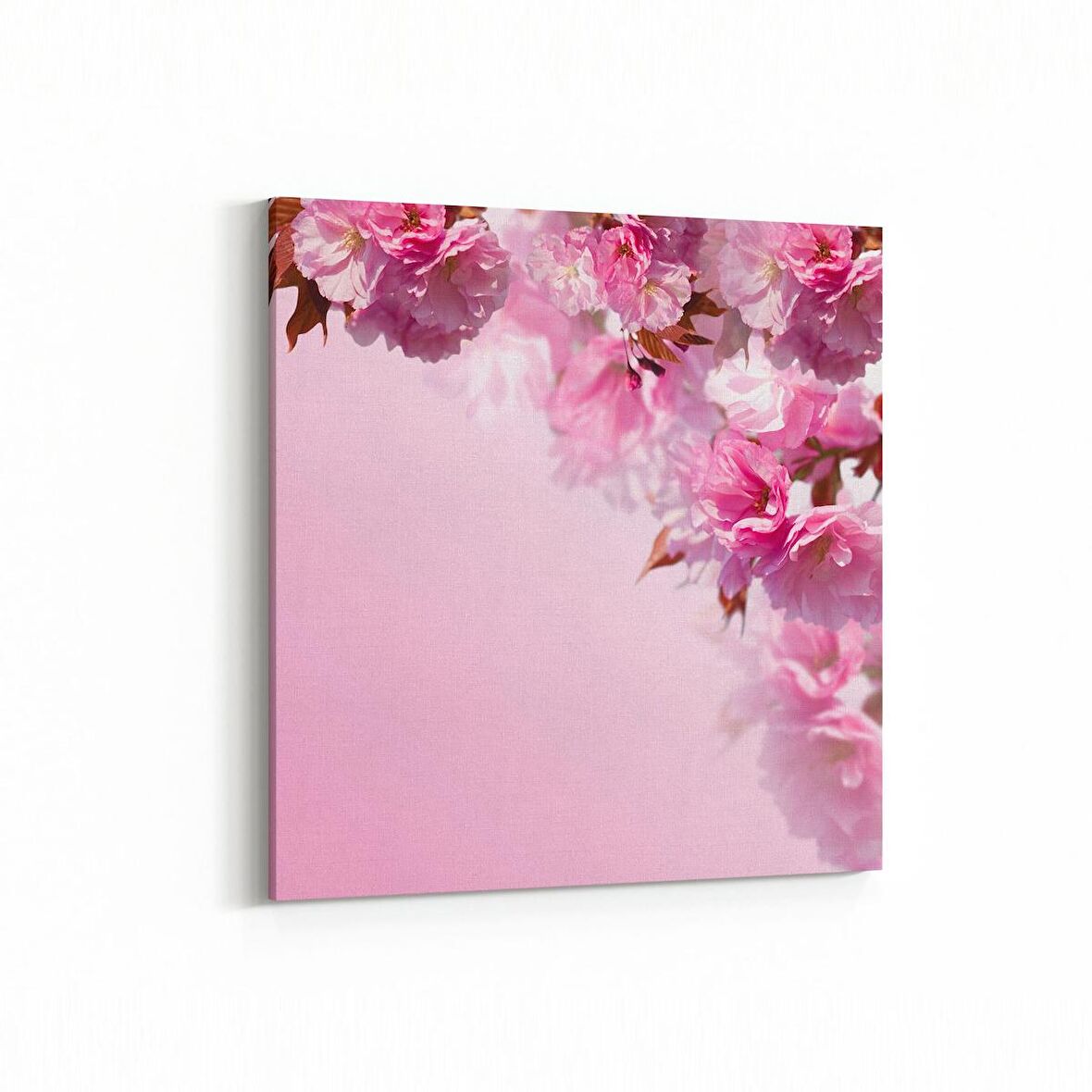 Olla 11754K Orkide Çiçek Görseli Kare Kanvas Tablo (Ölçü: 25X25)