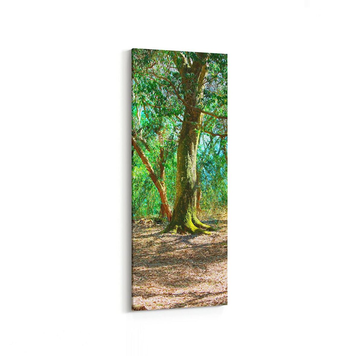 Olla 13679DI Doğa / Manzara Görseli Dikey İnce Kanvas Tablo (Ölçü: 40X120)
