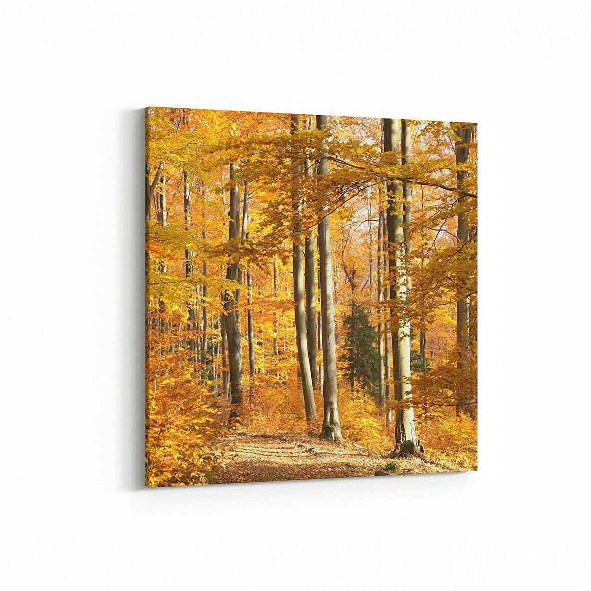 Olla 14576K Doğa / Manzara Görseli Kare Kanvas Tablo (Ölçü: 30X30)