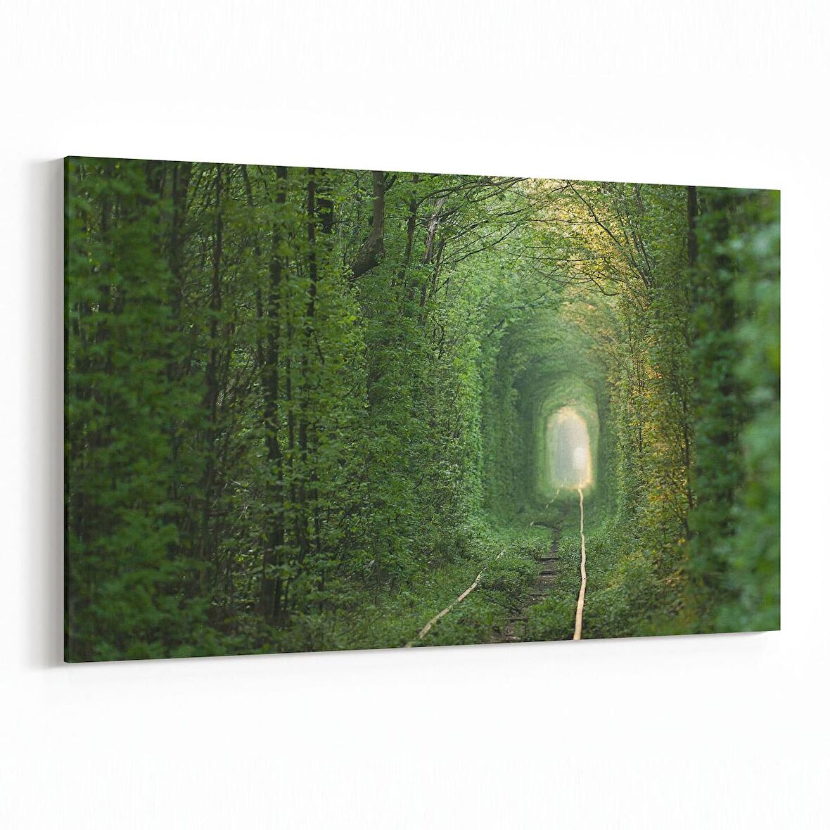 Olla 13296Y Doğa / Manzara Görseli Yatay Kanvas Tablo (Ölçü: 150X100)