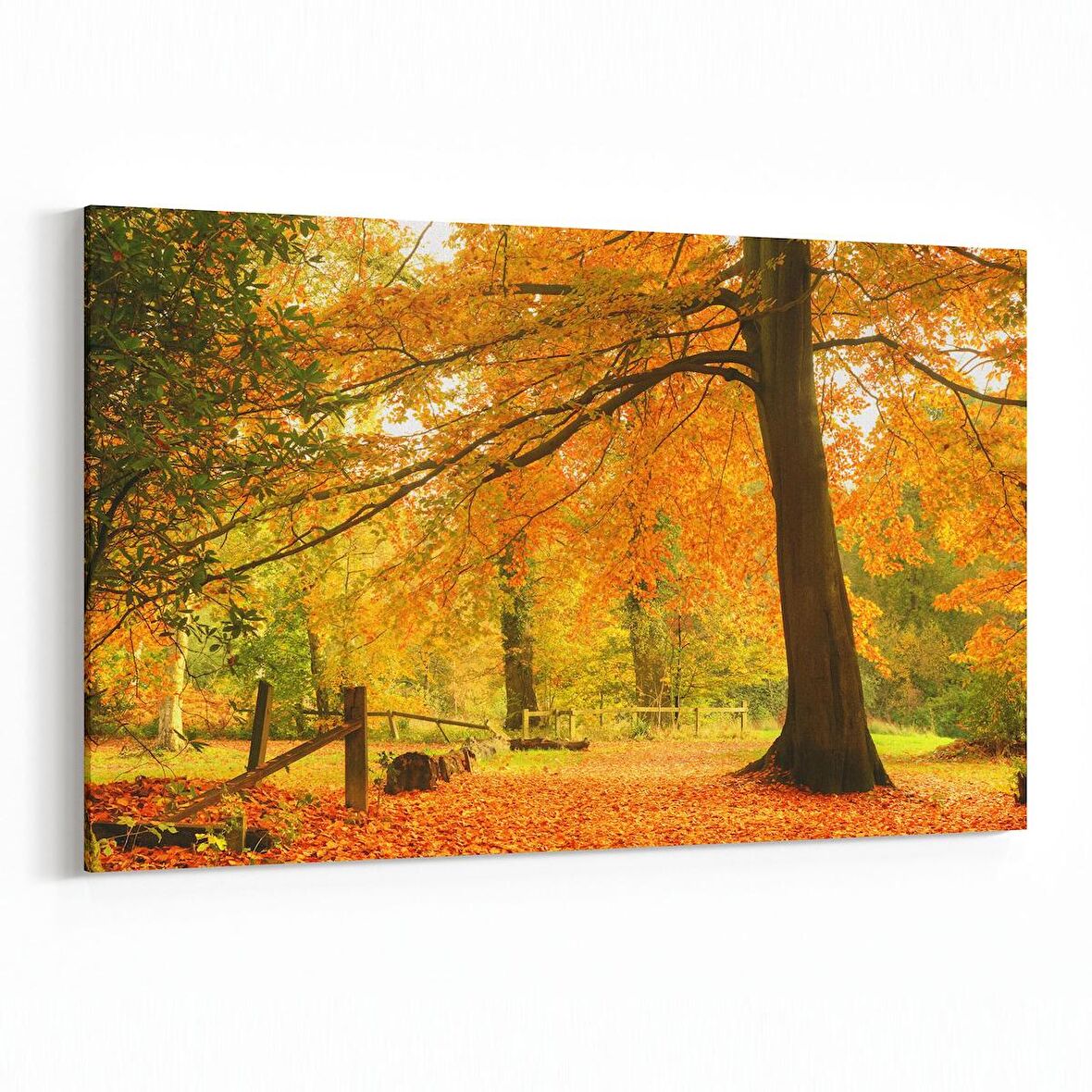 Olla 14331Y Doğa / Manzara Görseli Yatay Kanvas Tablo (Ölçü: 70X50)