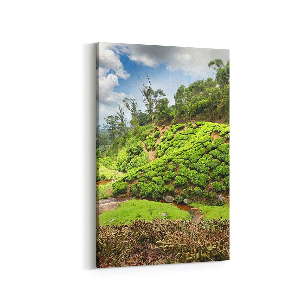 Olla 14544D Doğa / Manzara Görseli Dikey Kanvas Tablo (Ölçü: 100X150)
