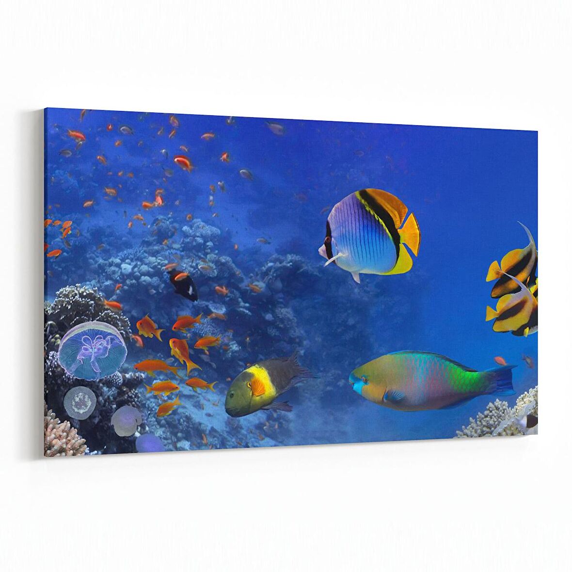 Olla 12144Y Akvaryum / Balık Görseli Yatay Kanvas Tablo (Ölçü: 90X60)