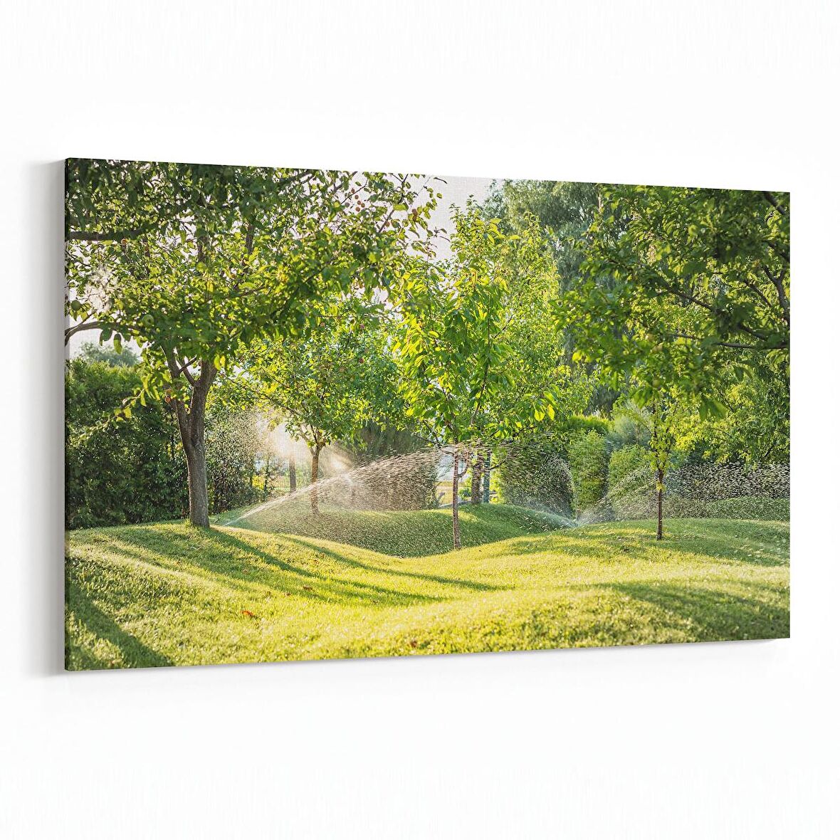 Olla 13496Y Doğa / Manzara Görseli Yatay Kanvas Tablo (Ölçü: 30X20)
