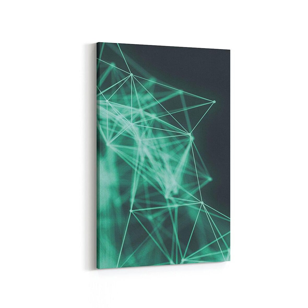 Olla 10412D Abstract Görsel Dikey Kanvas Tablo (Ölçü: 60X90)