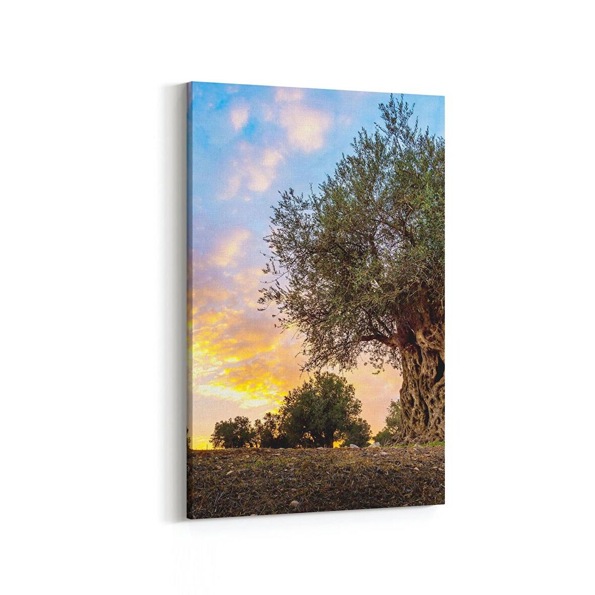 Olla 14373D Doğa / Manzara Görseli Dikey Kanvas Tablo (Ölçü: 100X150)