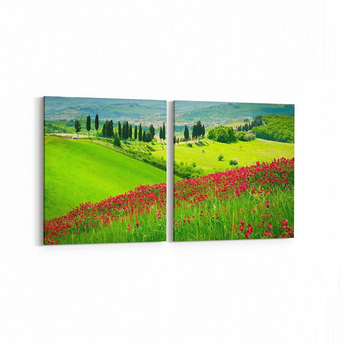 Olla 13361K2Y Doğa / Manzara Görseli Kare 2'li Yatay Kanvas Tablo (Ölçü: 65X30)