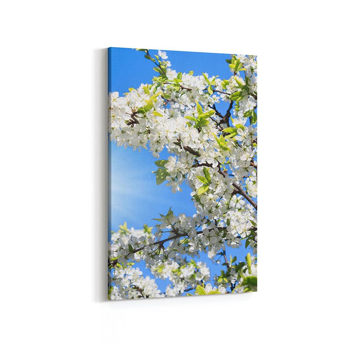 Olla 10486D Ağaç Görseli Dikey Kanvas Tablo (Ölçü: 20X30)