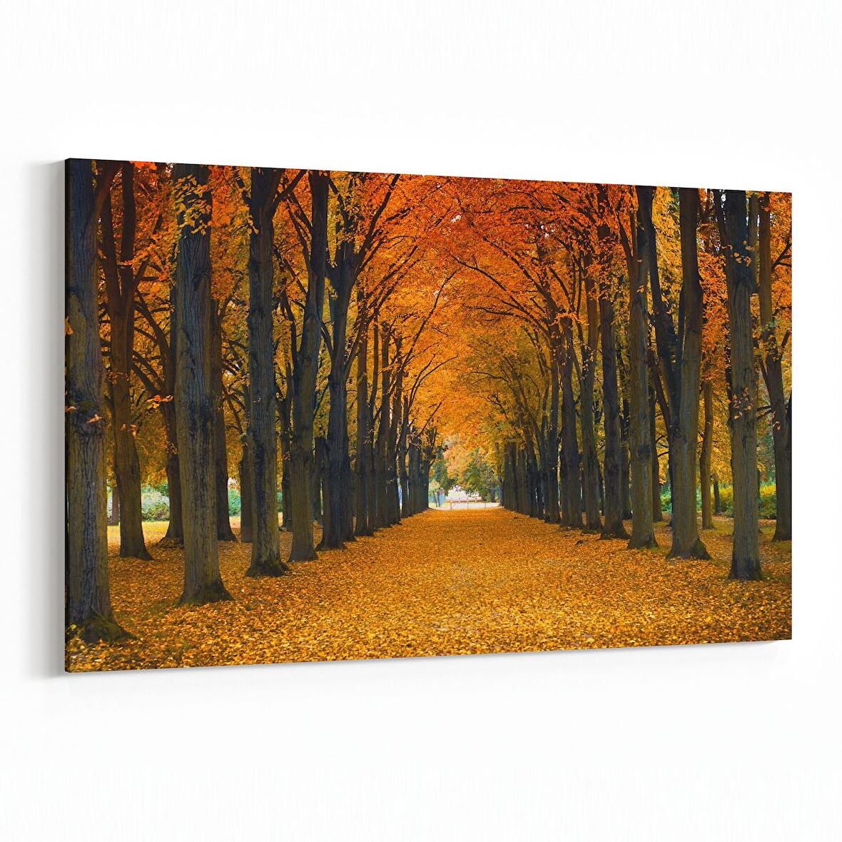 Olla 14026Y Doğa / Manzara Görseli Yatay Kanvas Tablo (Ölçü: 70X50)