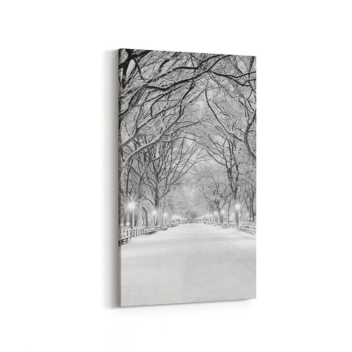 Olla 13780DD Doğa / Manzara Görseli Dikey Dar Kanvas Tablo (Ölçü: 40X80)