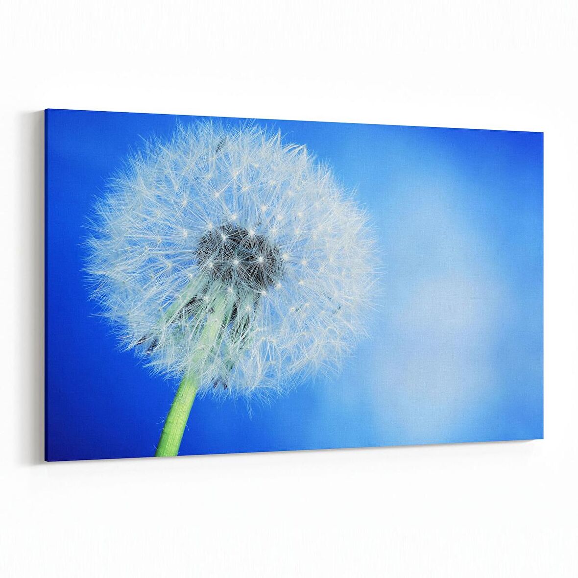 Olla 10759Y Ağaç Görseli Yatay Kanvas Tablo (Ölçü: 45X30)