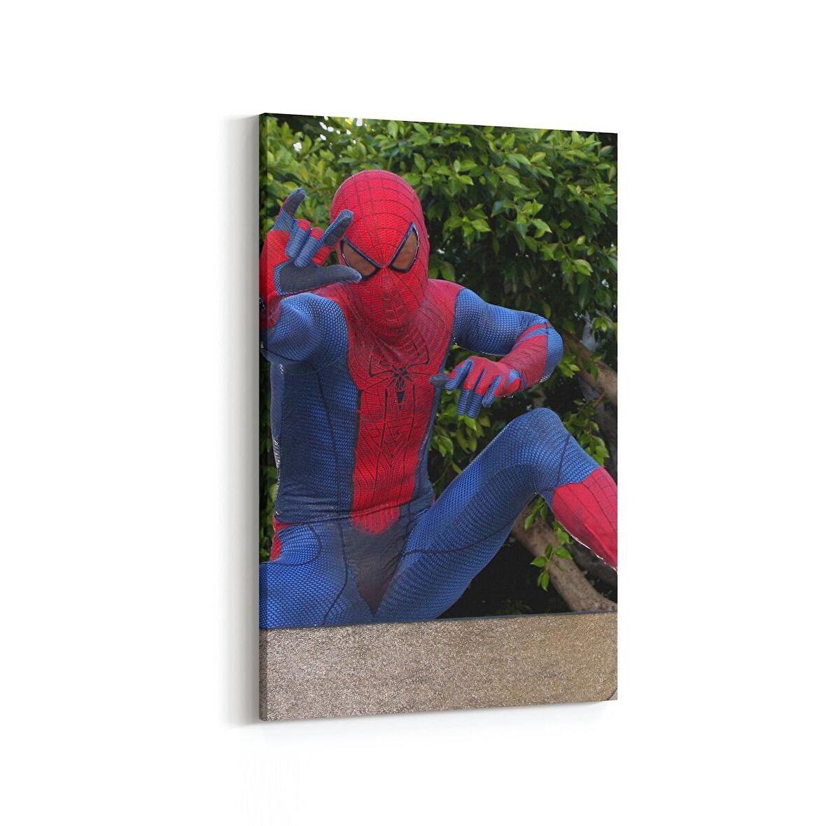 Olla 12704D Çocuk Odası Görseli Dikey Kanvas Tablo (Ölçü: 20X30)