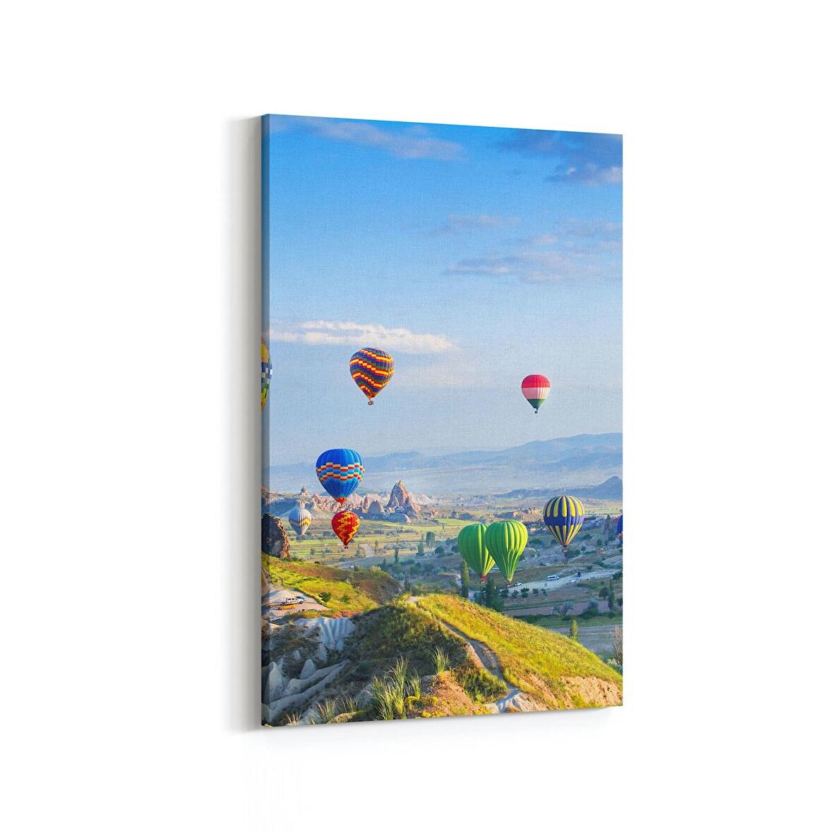 Olla 14227D Doğa / Manzara Görseli Dikey Kanvas Tablo (Ölçü: 60X90)