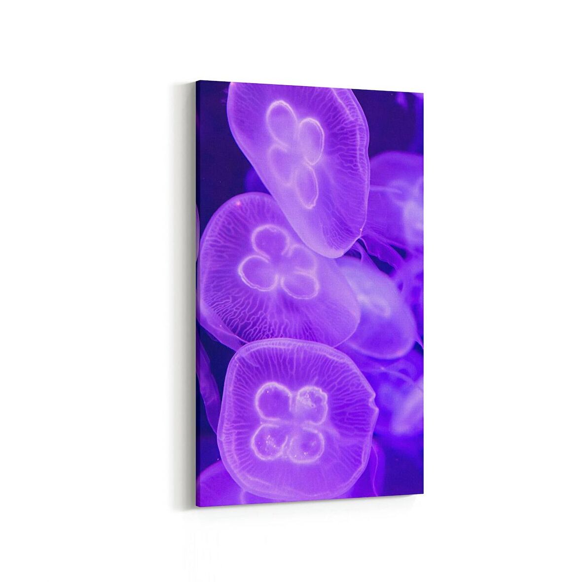 Olla 12872DD Deniz / Okyanus Görseli Dikey Dar Kanvas Tablo (Ölçü: 30X60)