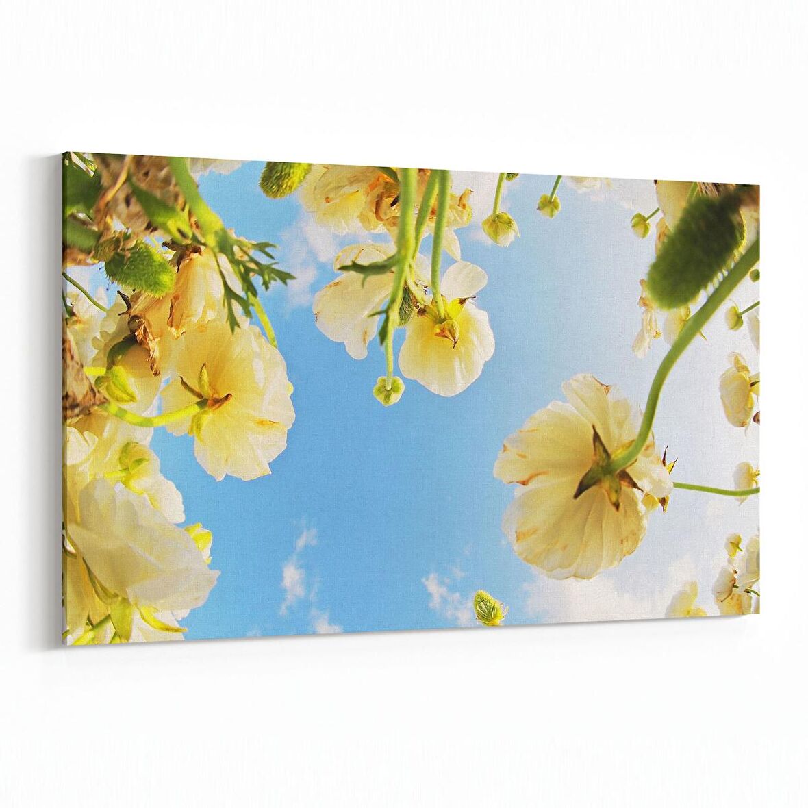 Olla 11028Y Ağaç Görseli Yatay Kanvas Tablo (Ölçü: 70X50)