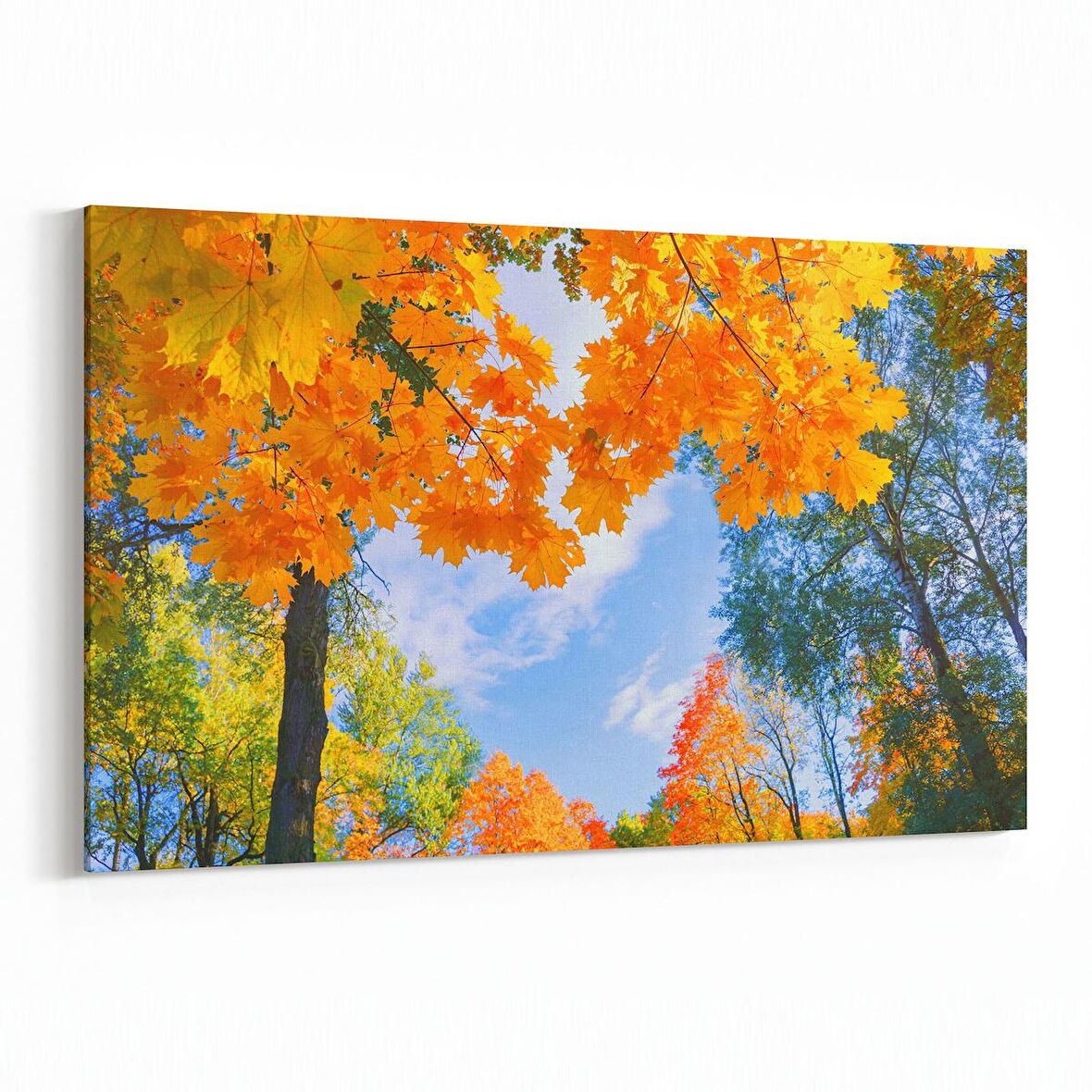 Olla 10661Y Ağaç Görseli Yatay Kanvas Tablo (Ölçü: 45X30)