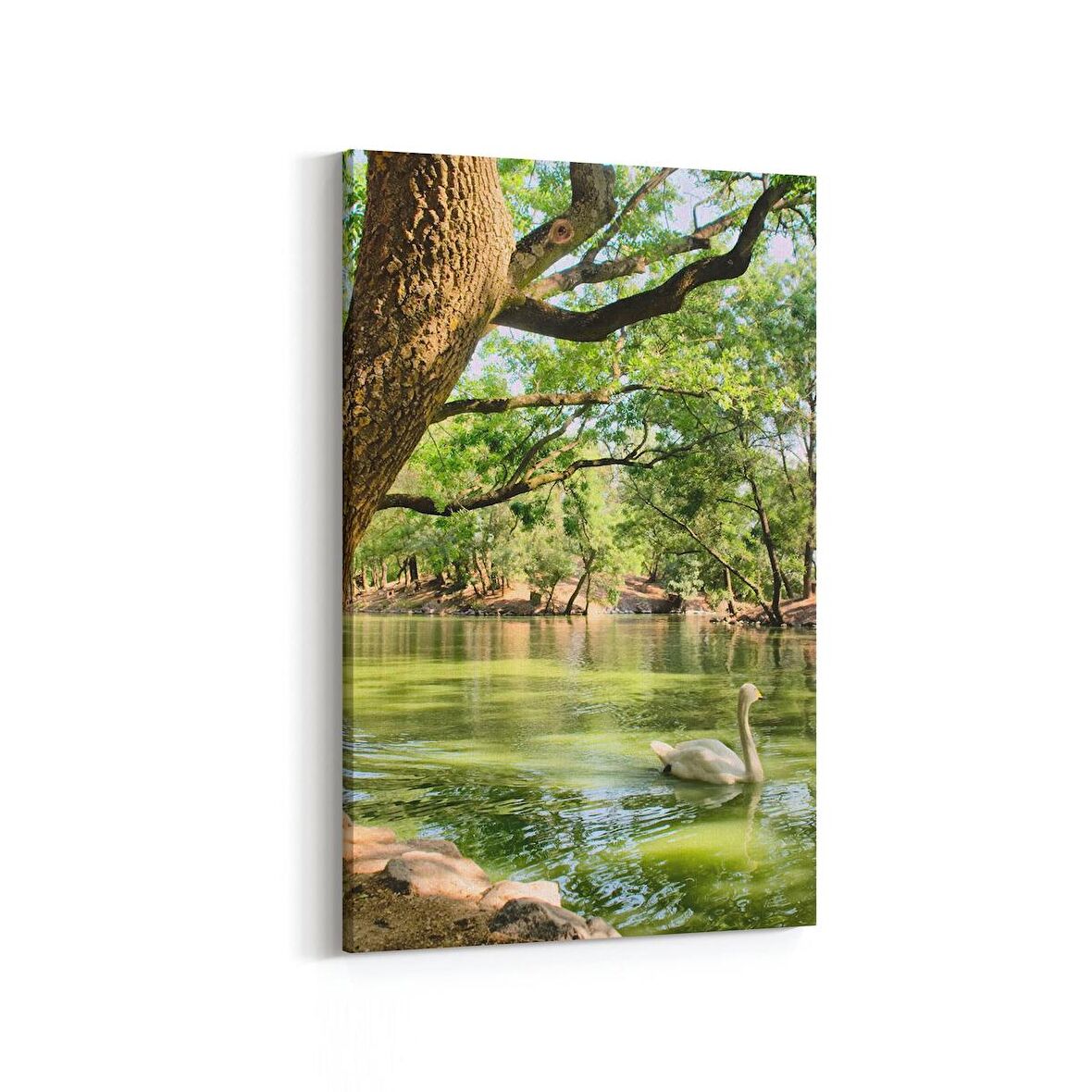 Olla 13473D Doğa / Manzara Görseli Dikey Kanvas Tablo (Ölçü: 60X90)