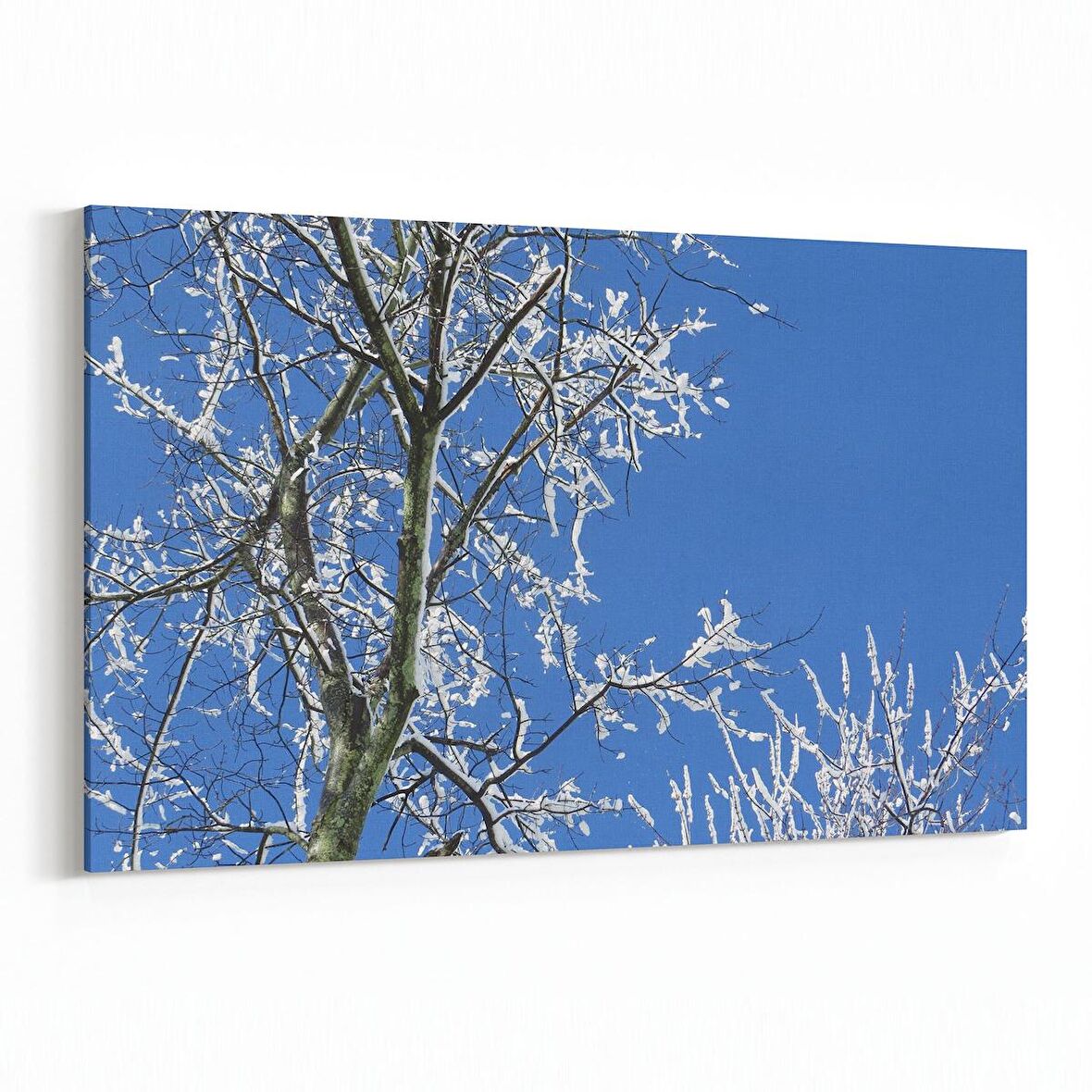 Olla 10914Y Ağaç Görseli Yatay Kanvas Tablo (Ölçü: 45X30)