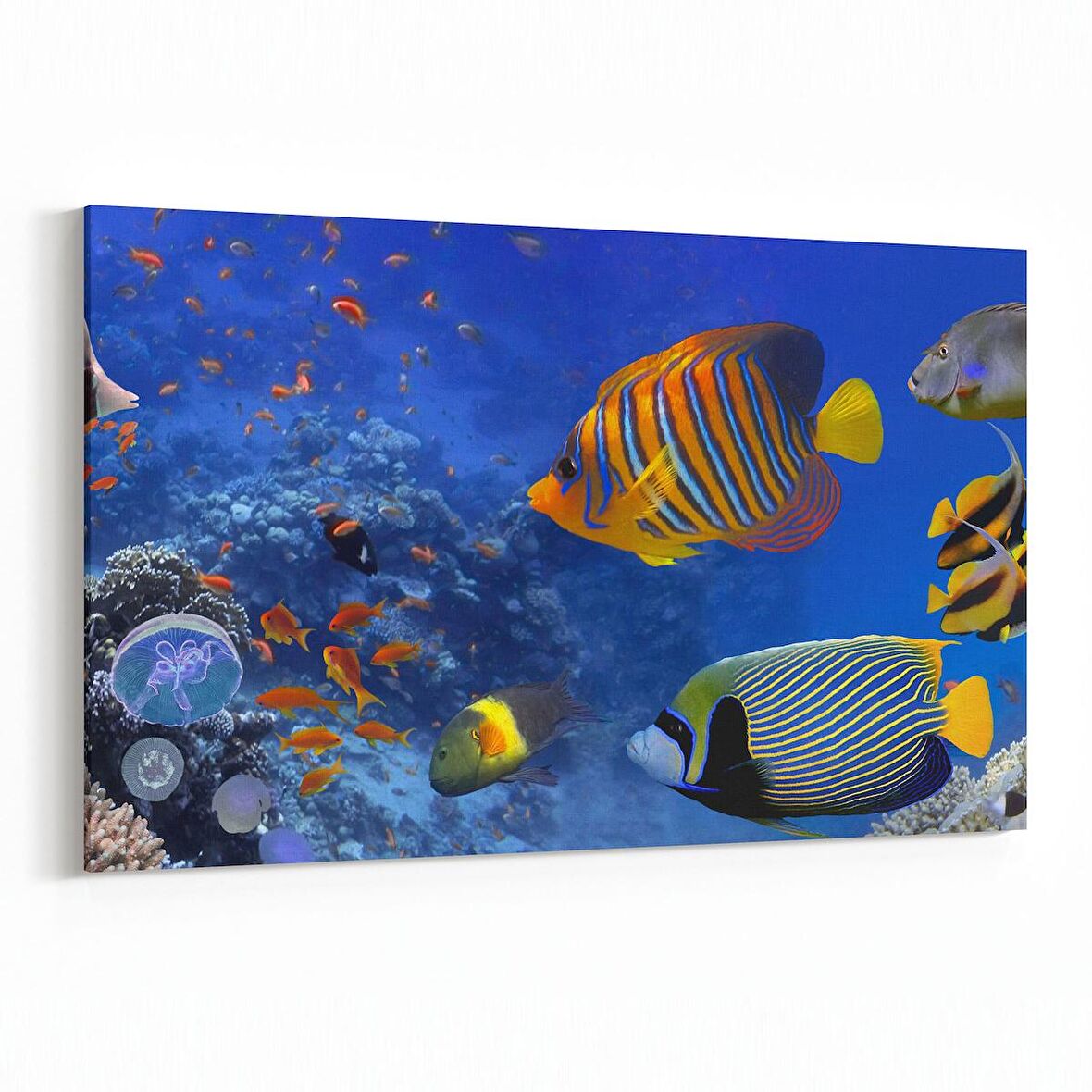 Olla 12152Y Akvaryum / Balık Görseli Yatay Kanvas Tablo (Ölçü: 150X100)