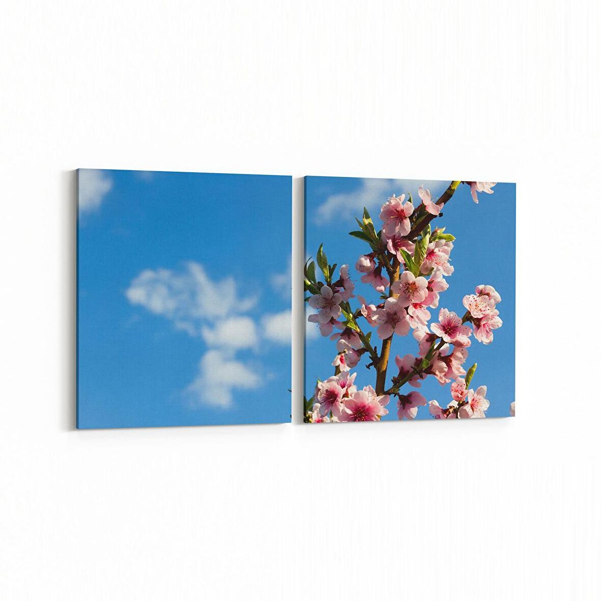 Olla 10964K2Y Ağaç Görseli Kare 2'li Yatay Kanvas Tablo (Ölçü: 105X50)