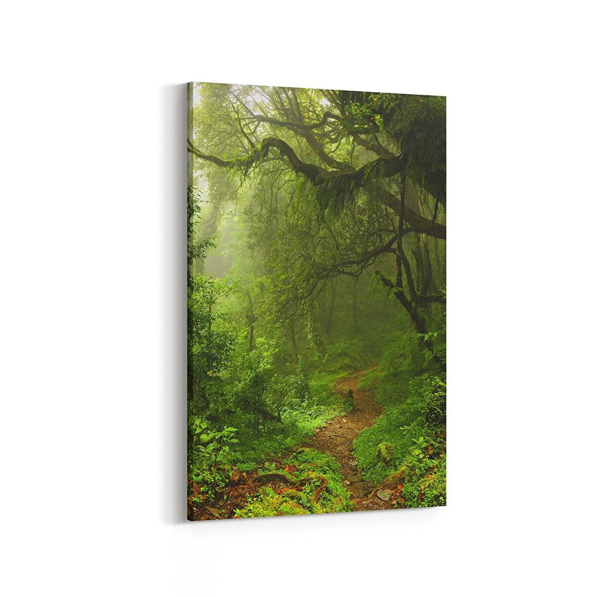 Olla 13455D Doğa / Manzara Görseli Dikey Kanvas Tablo (Ölçü: 100X150)