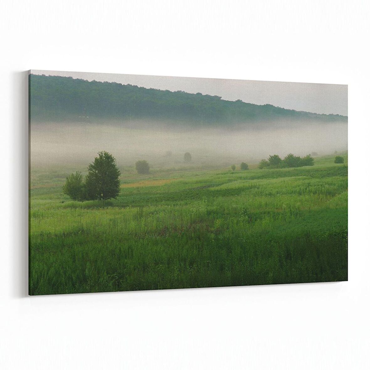 Olla 13738Y Doğa / Manzara Görseli Yatay Kanvas Tablo (Ölçü: 90X60)