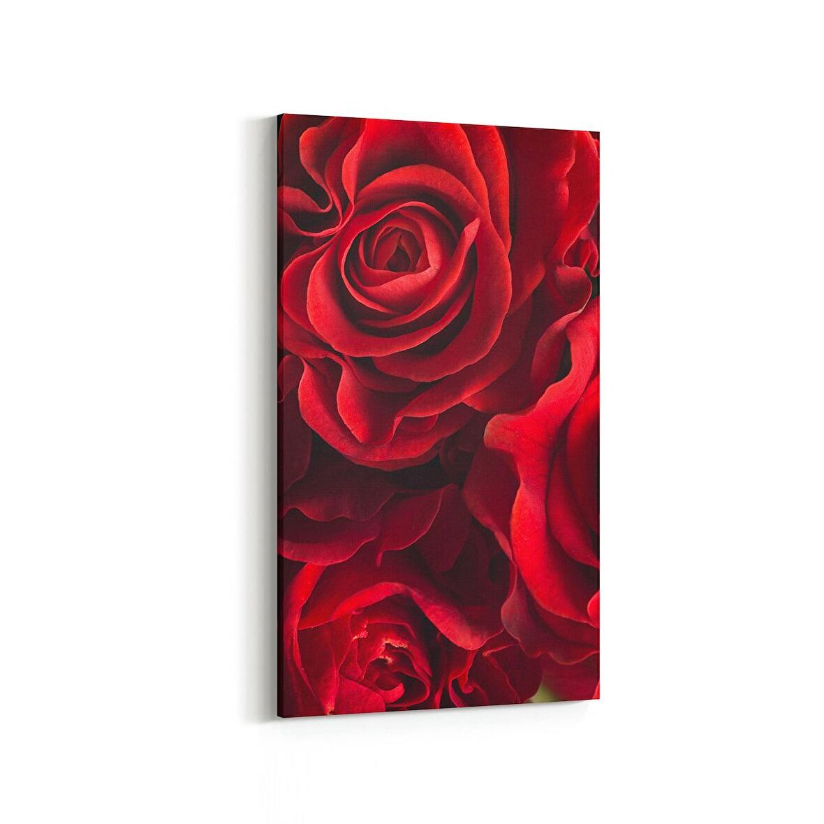 Olla 11590DD Çiçek Görseli Dikey Dar Kanvas Tablo (Ölçü: 40X80)