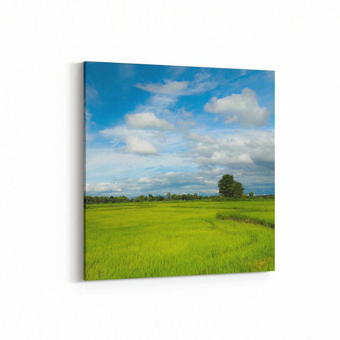 Olla 13529K Doğa / Manzara Görseli Kare Kanvas Tablo (Ölçü: 30X30)