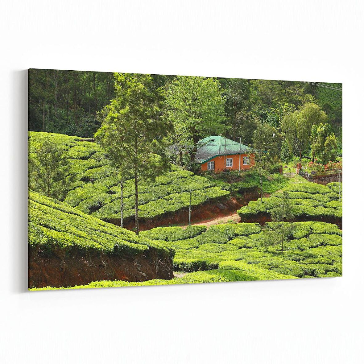 Olla 13341Y Doğa / Manzara Görseli Yatay Kanvas Tablo (Ölçü: 70X50)