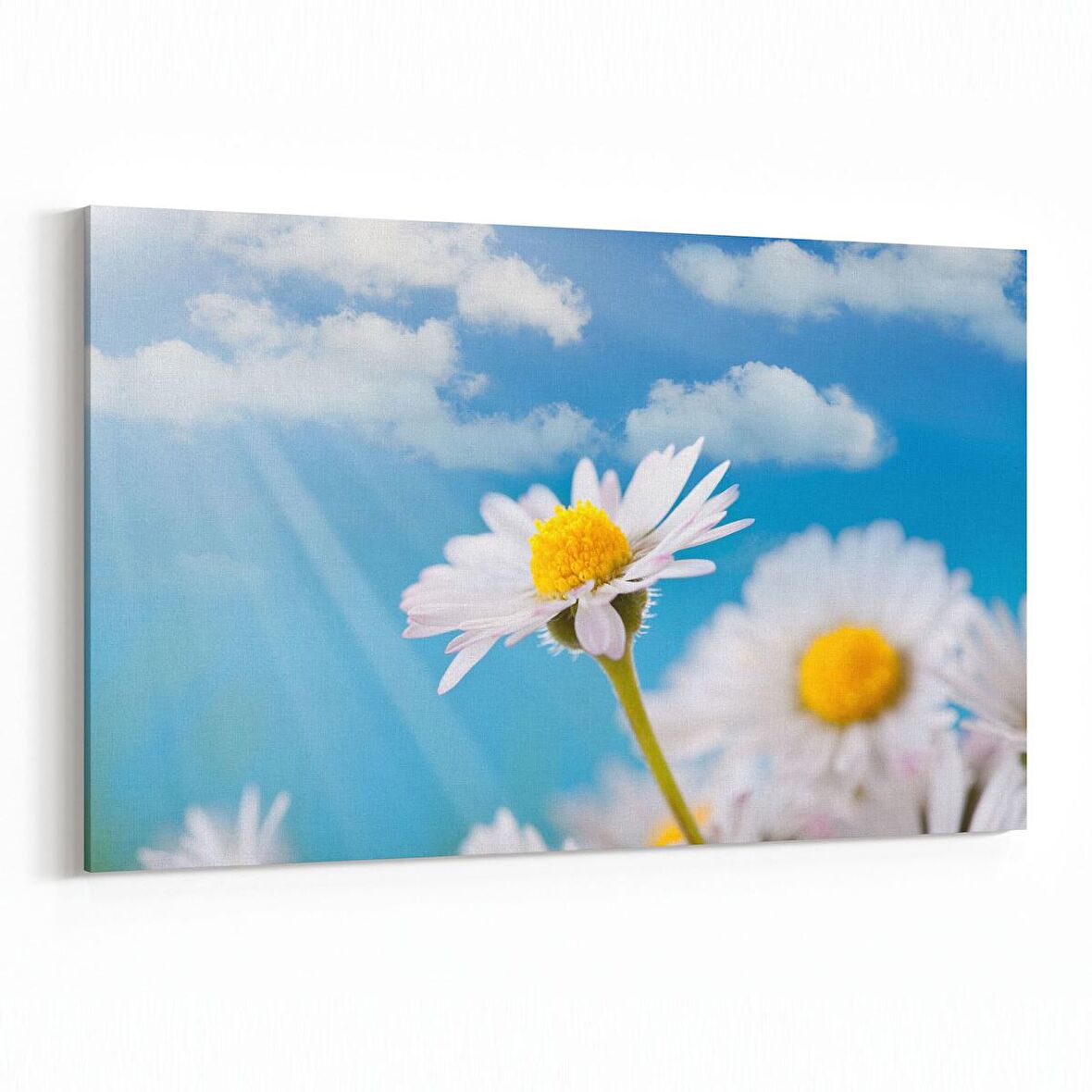 Olla 11019Y Ağaç Görseli Yatay Kanvas Tablo (Ölçü: 45X30)