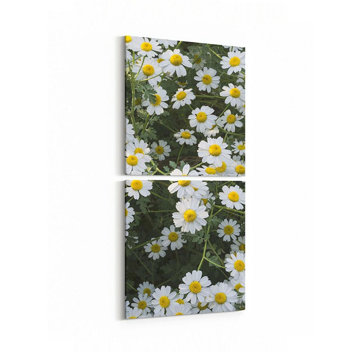 Olla 11611K2D Çiçek Görseli Kare 2'li Dikey Kanvas Tablo (Ölçü: 30X65)