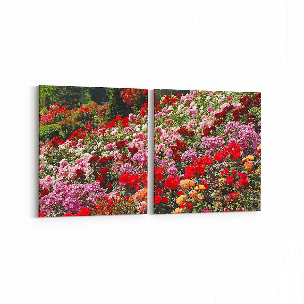 Olla 11575K2Y Çiçek Görseli Kare 2'li Yatay Kanvas Tablo (Ölçü: 105X50)