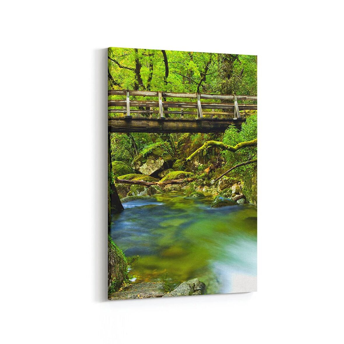 Olla 14285D Doğa / Manzara Görseli Dikey Kanvas Tablo (Ölçü: 20X30)