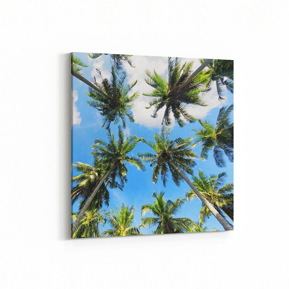 Olla 11506K Palmiye Ağacı Görseli Kare Kanvas Tablo (Ölçü: 25X25)