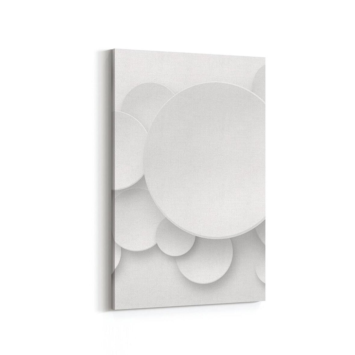 Olla 10447D Beyaz Kabartma Görseli Dikey Kanvas Tablo (Ölçü: 100X150)